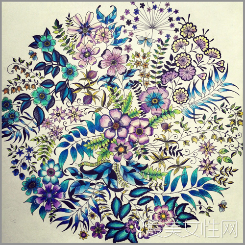 《秘密花园》绘图:绿+蓝+粉紫